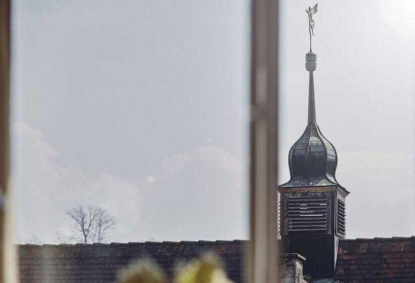 غرفة قياسية فردية, Biohotel Alte Post