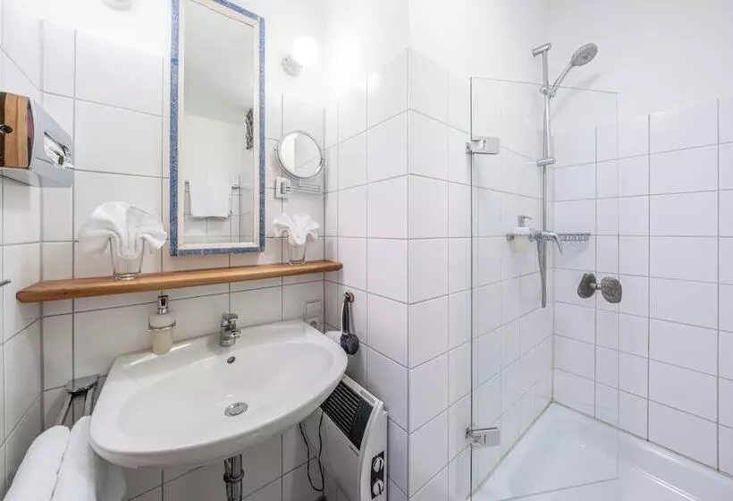 Standard Yhden Hengen Huone, Biohotel Alte Post