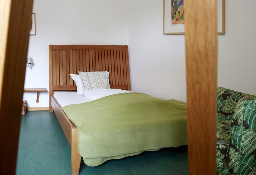 غرفة قياسية فردية, Biohotel Alte Post