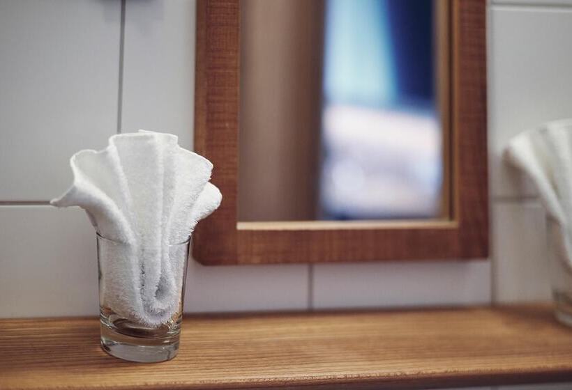 شقة ديلوكس غرفة واحدة, Biohotel Alte Post