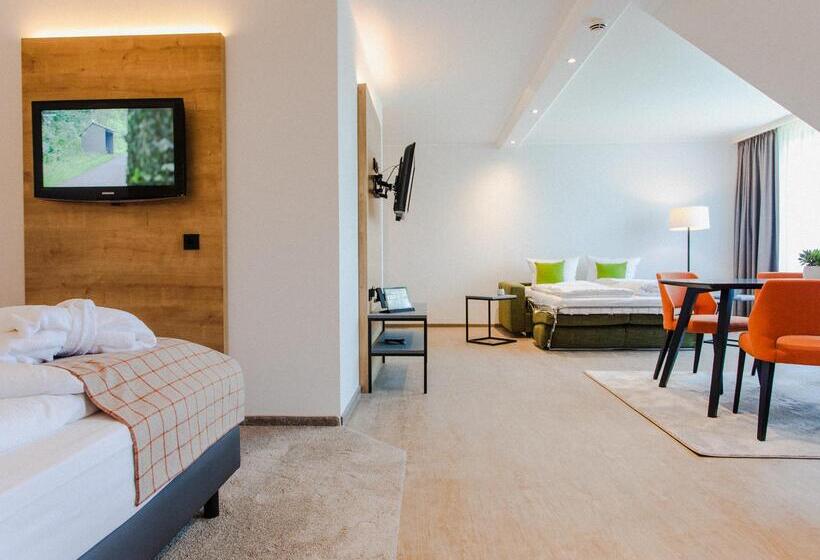 Студия Стандарт, Best Western Hotel Polisina