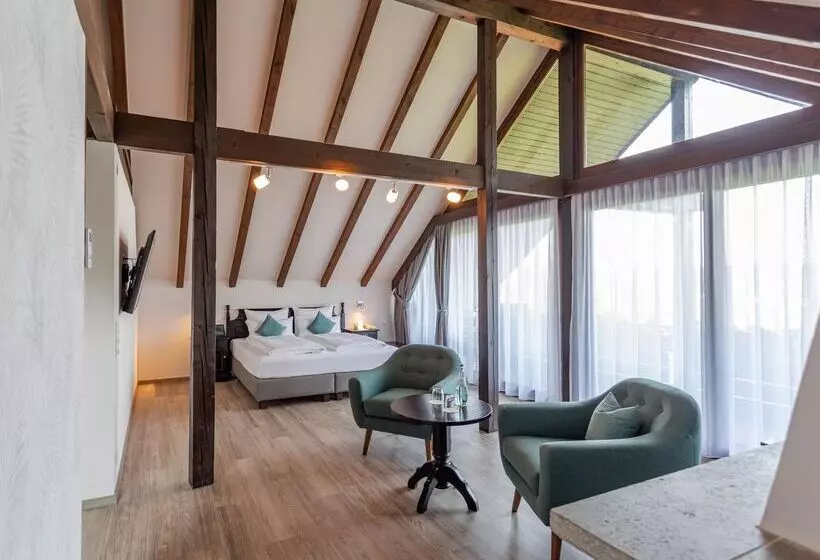 スーペリアスタジオ, Best Western Hotel Polisina
