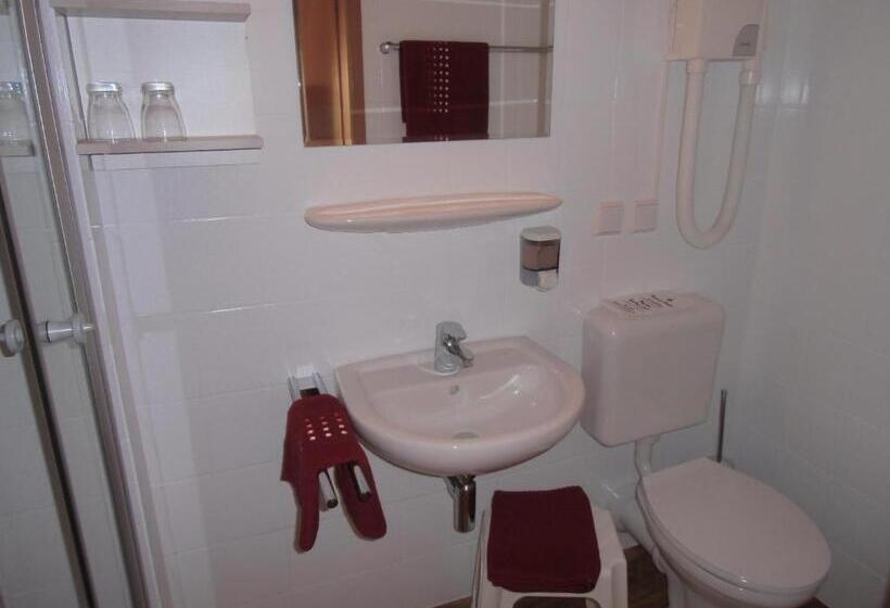 חדר סטנדרט יחיד, Gasthof Zum Freigericht