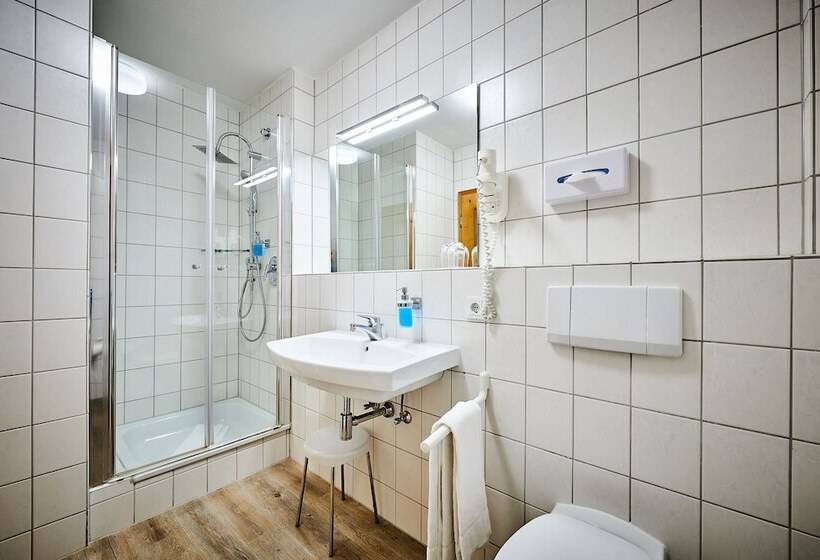 클래식 룸, Posthotel Donaustauf