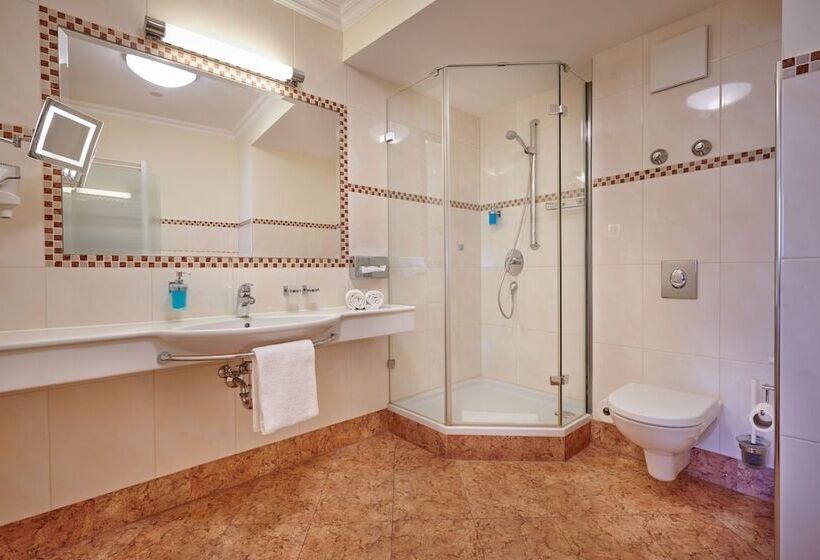 컴포트 싱글 룸, Posthotel Donaustauf