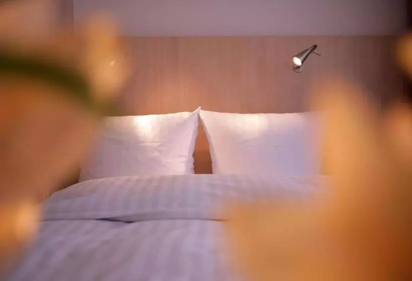Chambre Standard, Senator München