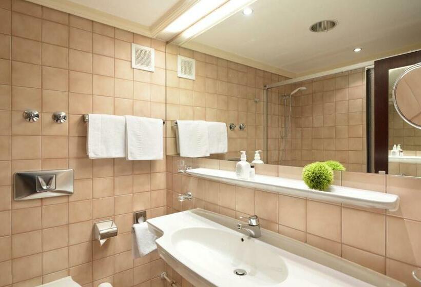 غرفة قياسية فردية, Ringhotel Loew S Merkur