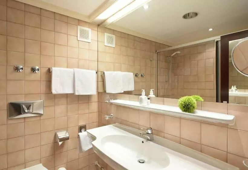 اتاق استاندارد یک نفره, Ringhotel Loew S Merkur