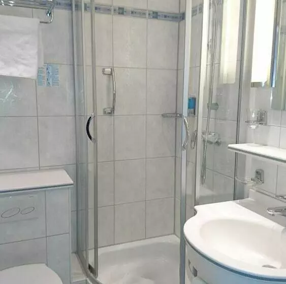اتاق استاندارد یک نفره, Ringhotel Loew S Merkur