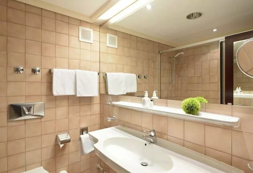 اتاق عادی یک تخته, Ringhotel Loew S Merkur