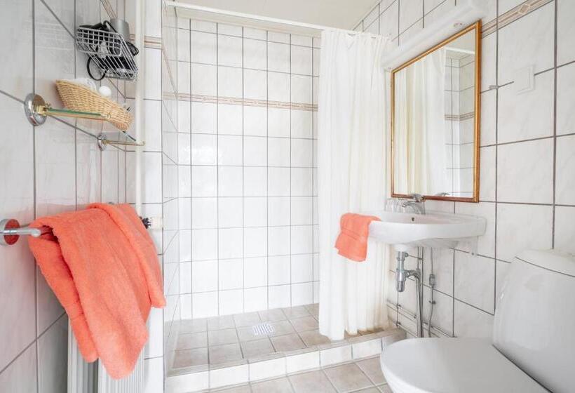 高级大房间, Dania