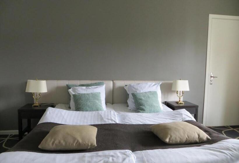 高级大房间, Dania