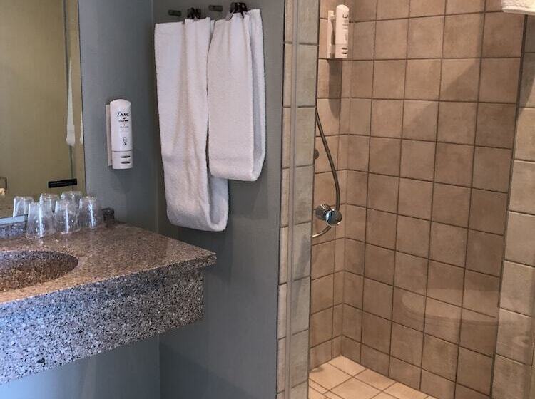 スーペリアールーム, Skivehus