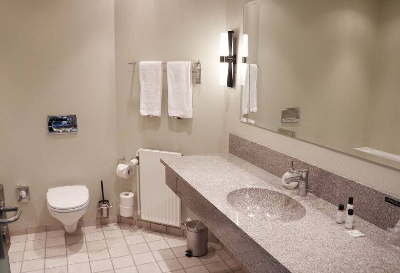 スイート, Skivehus