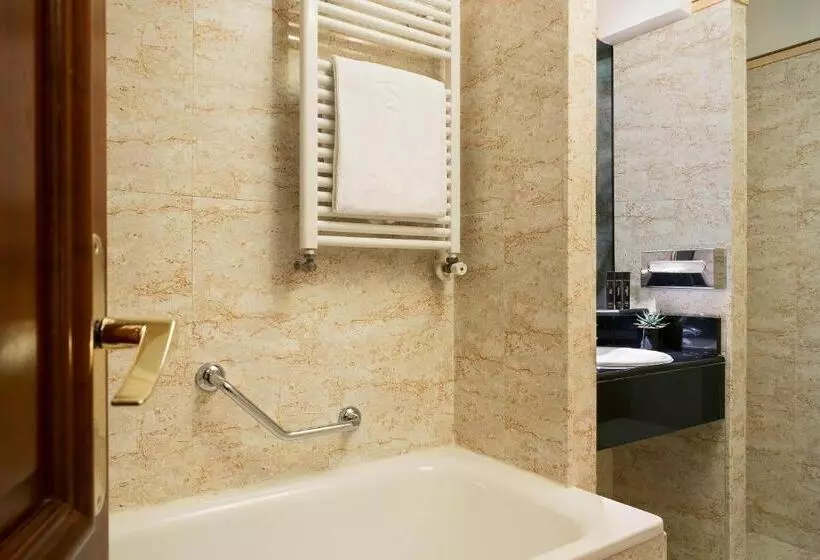 スタンダードルーム, Melia Paris Champselysees