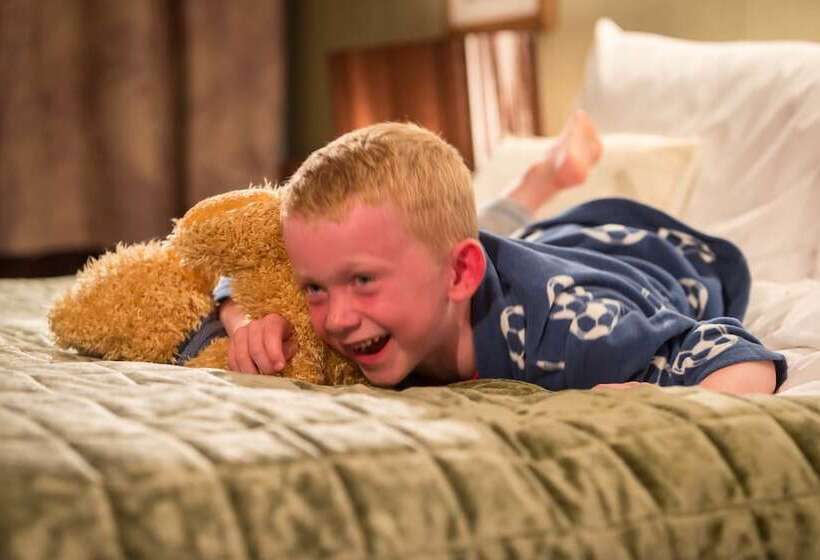 غرفة ديلوكس عائلية, Newpark