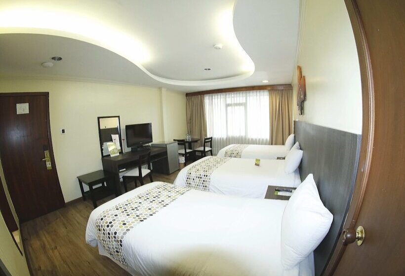 חדר סטנדרט לשלושה, Republica