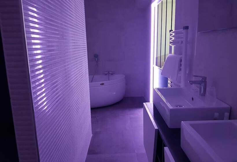 סוויטה דלוקס, Brit Hotel De Grignan Vichy