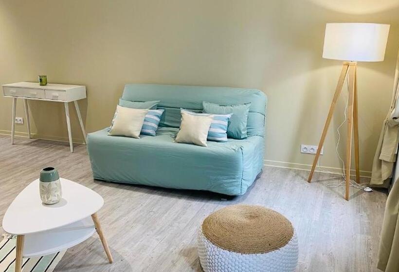 带1个卧室的公寓, Kyriad Saumur Hyper Centre Hôtel Appartements Et Spa Soins Sothys Paris