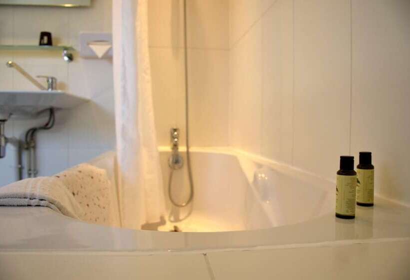 غرفة قياسية مطلّة علي الحديقة, Le Continental