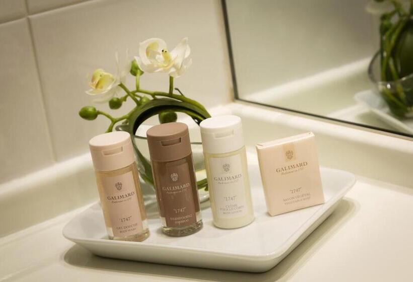 小型套房, Best Western Plus  Elixir Grasse