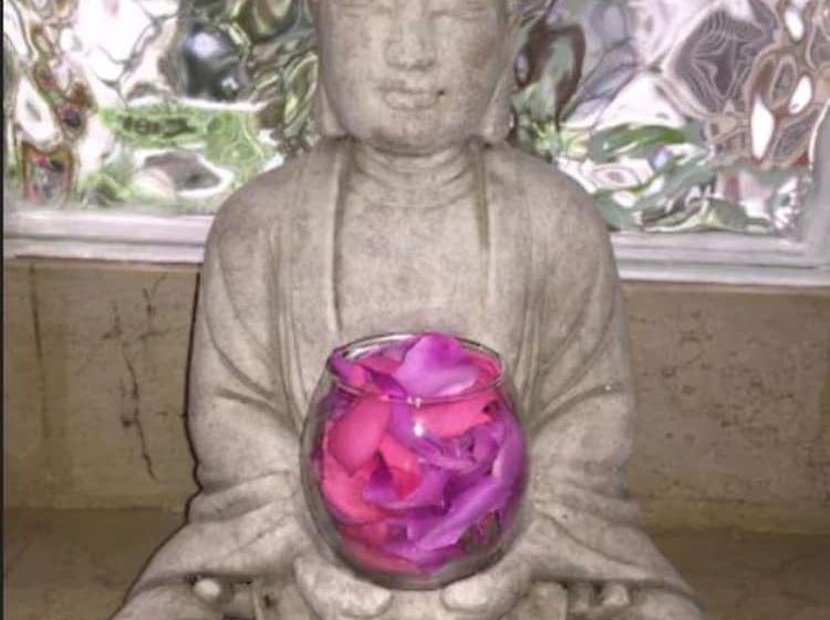 高级单人间, Festival