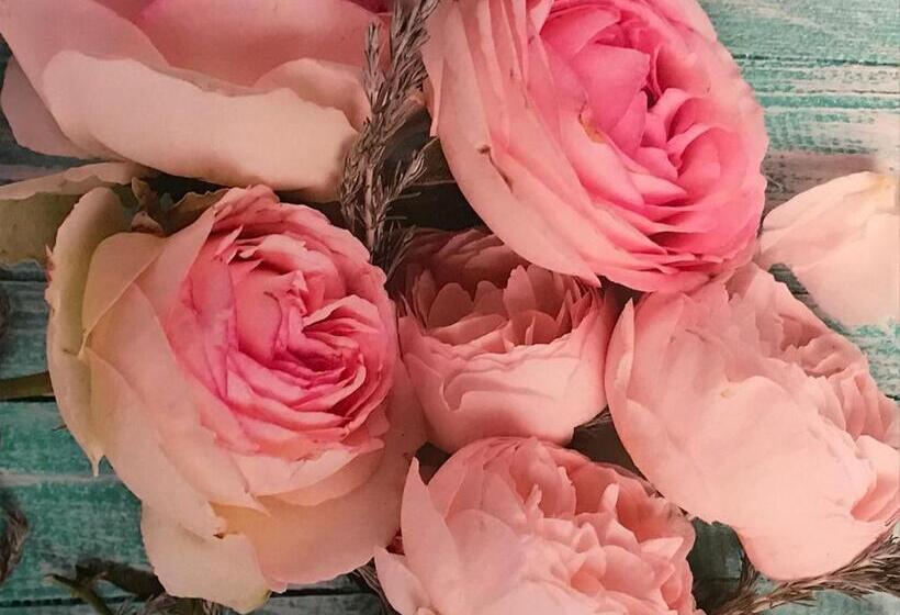 标准单人间, Festival