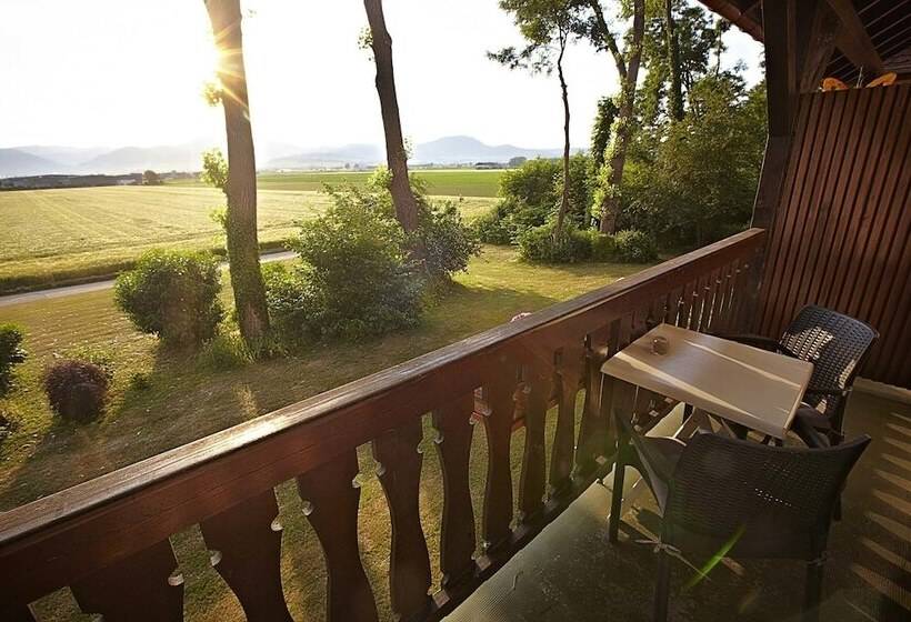 Номер Superior с Террасой, La Clairière