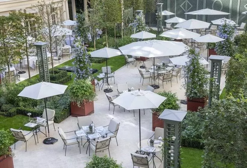 デラックスルーム, Le Bristol Paris  An Oetker Collection