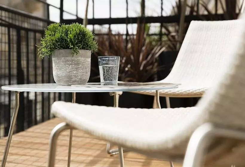 Standaardkamer met Terras, Moliere