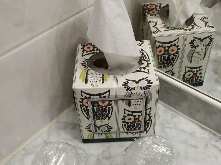 수피리어 룸, Hôtel Riquet