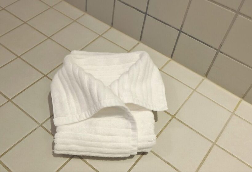 デラックスルーム, Saint Dominique