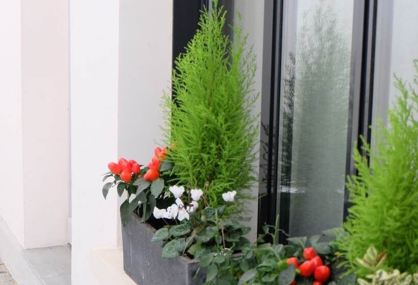 デラックスルーム, Saint Dominique