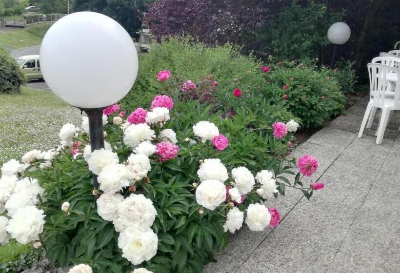 带观景的高级间, Tourhotel Blois