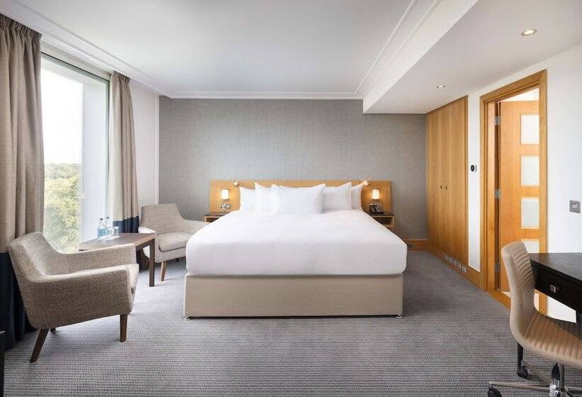 Люкс, Hilton London Gatwick Airport