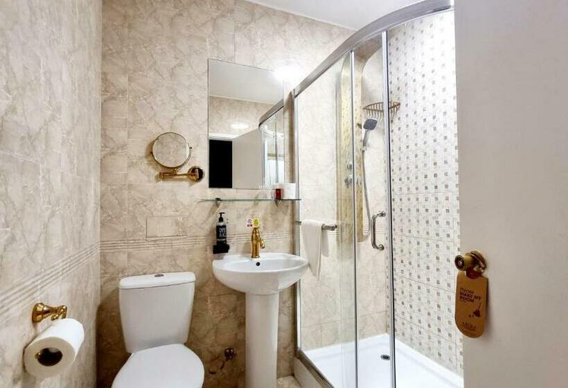 غرفة سوبيريور, Muthu Belstead Brook