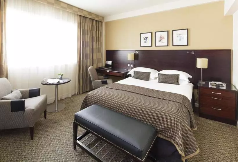 Executive-huone, Pomme D Or