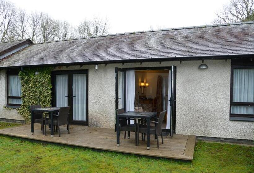 수피리어 룸, The Waterloo