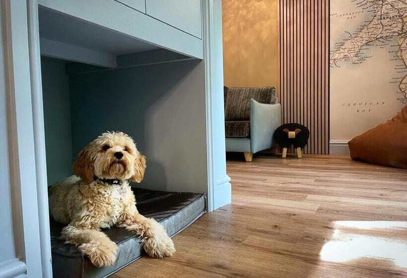 패밀리 스위트, The Waterloo