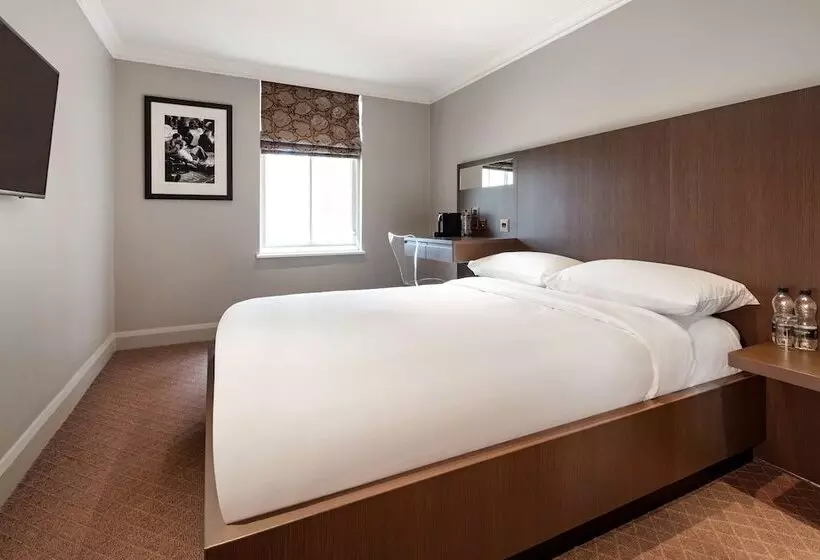 اتاق استاندارد, Radisson Blu Hotel, London Bloomsbury