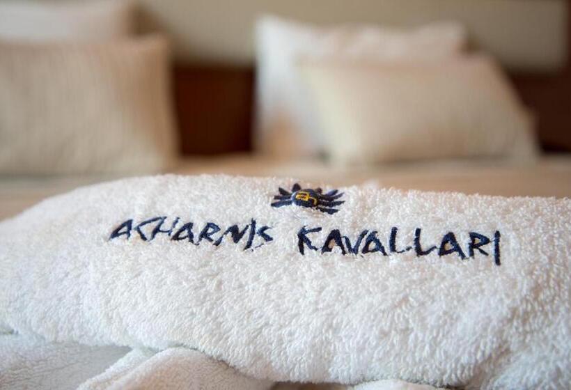 Номер Стандарт Индивидуальный, Acharnis Kavallari Hotel Suites