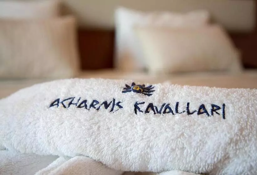 スタンダードシングルルーム, Acharnis Kavallari Hotel Suites