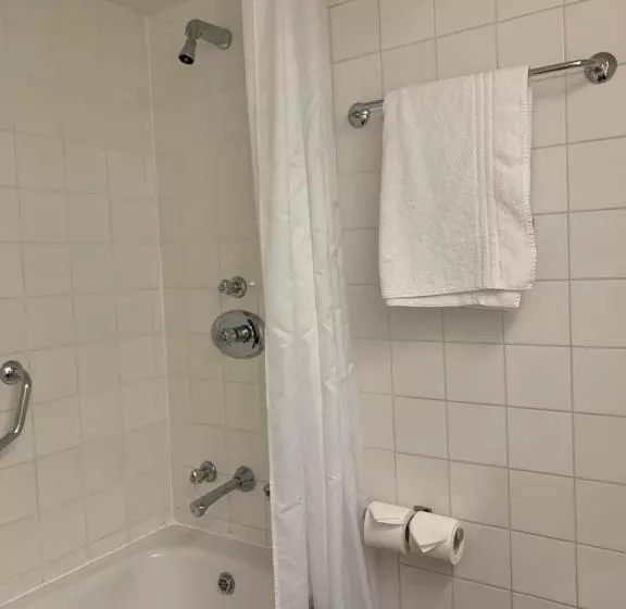 スタンダードルーム, Copthorne Hotel Newcastle