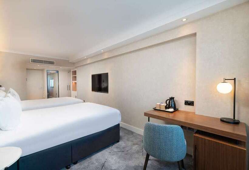 Номер Стандарт, Hilton London Metropole