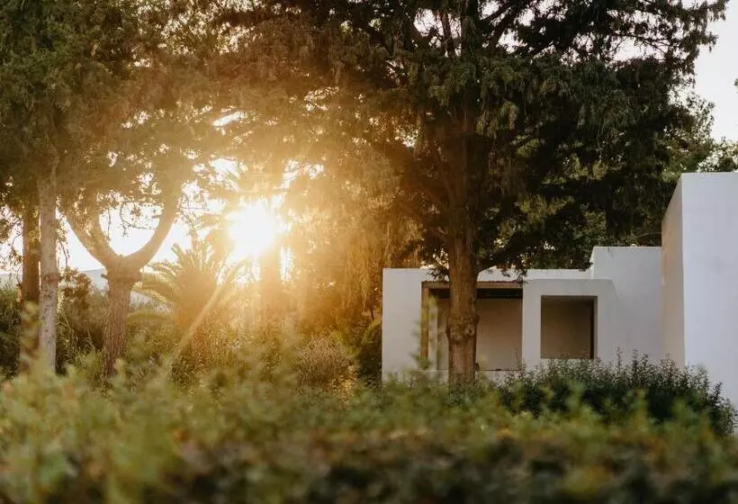 スーペリアーバンガロー, Minos Beach Art Hotel, A Member Of Design Hotels
