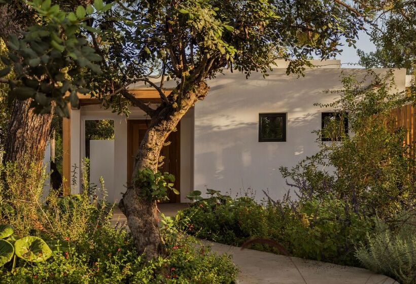 高级洋房, Minos Beach Art Hotel, A Member Of Design Hotels