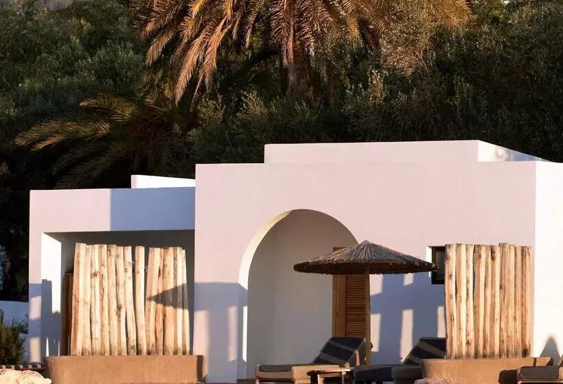 スタンダードバンガロー, Minos Beach Art Hotel, A Member Of Design Hotels