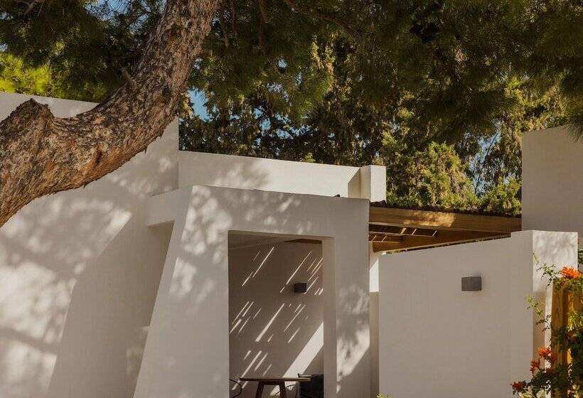 高级洋房, Minos Beach Art Hotel, A Member Of Design Hotels