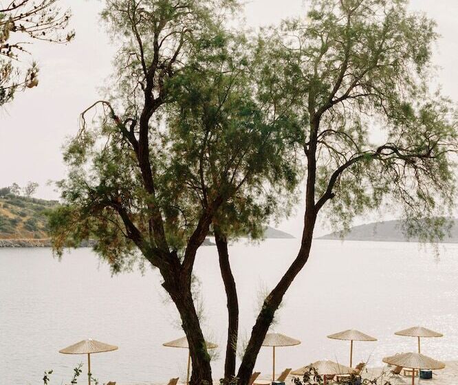 带2个卧室的别墅, Minos Beach Art Hotel, A Member Of Design Hotels