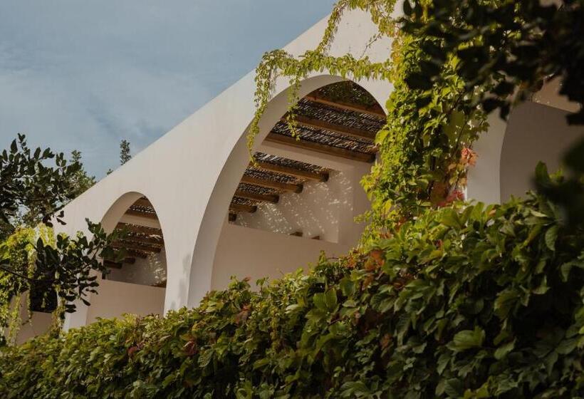 套房, Minos Beach Art Hotel, A Member Of Design Hotels